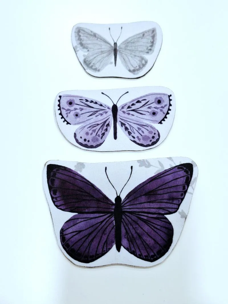 Motýlci obrázek 03